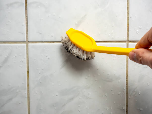 Office Mold Removal Services in Maili, HI