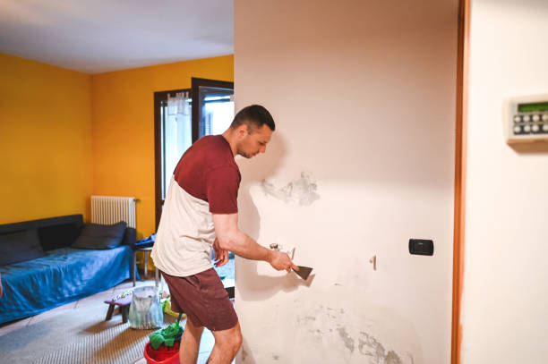 Best Certified Mold Removal  in Maili, HI